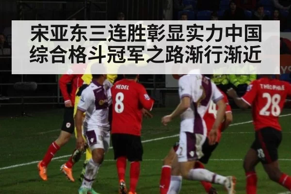 宋亚东三连胜彰显实力中国综合格斗冠军之路渐行渐近
